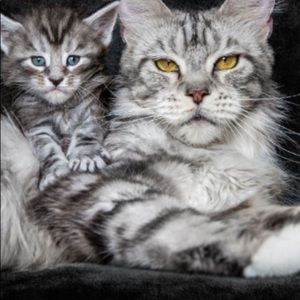 Meet your Posher, Patricia